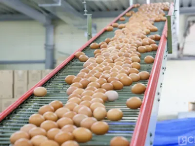 По надою молока и производству яиц Якутия заняла четвертое место на Дальнем Востоке