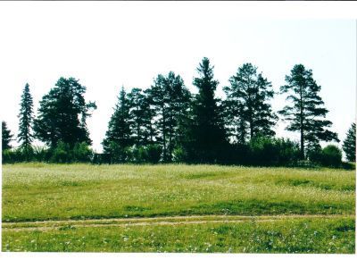 Священная роща