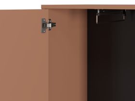 Распашной шкаф Торвалль 1.2-50x185 Терракотовый