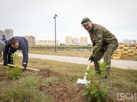 В День окончания Второй мировой войны в Якутске высадили 80 кустов сирени