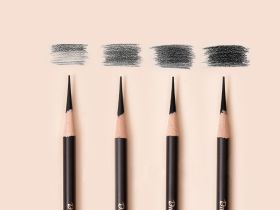 Набор угольных карандашей Dmast 10 штук ассорти в картонной упаковке