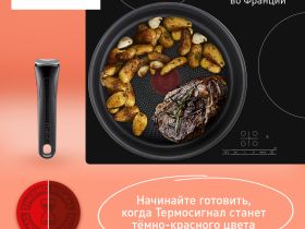 Набор посуды Tefal Ingenio Daily Chef Black 8 предметов 16/18/22/26/26 см L7629242