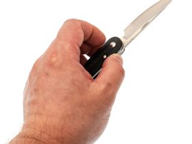 Складной нож Rapax Mimi, сталь VG-10, рукоять микарта, черный