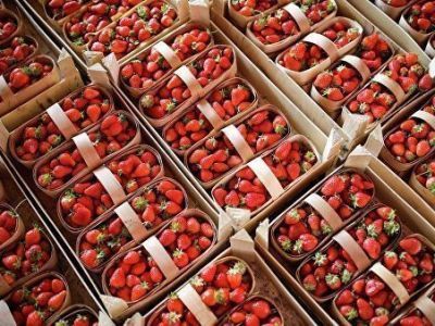 Эксперты рассказали, как создается вкус свежей клубники