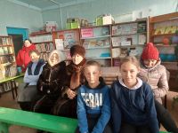 Северная сельская библиотека