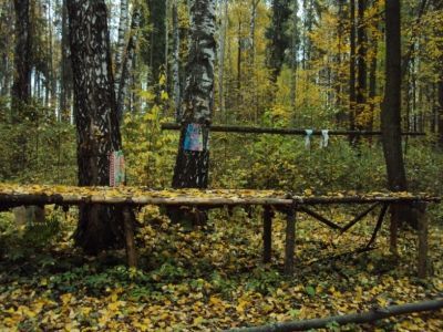 Священная роща