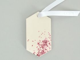 Саше Рождественская сказка