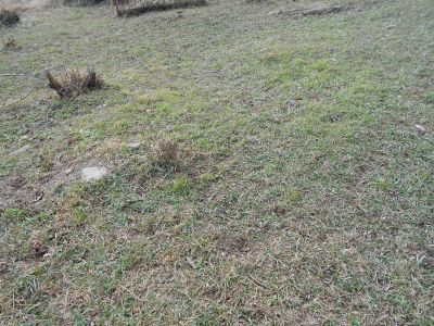 Братская могила советских воинов, погибших в боях с фашистскими захватчиками