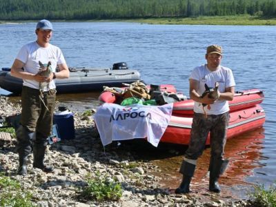 АЛРОСА поможет якутским и китайским ученым защитить популяцию краснокнижной птицы