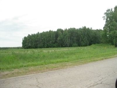 Священная роща