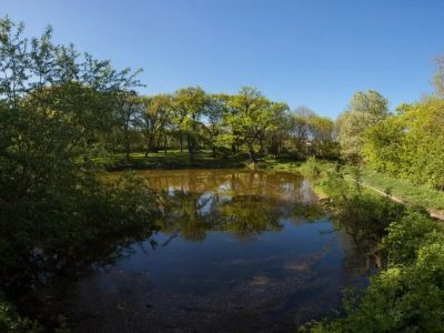 Комплексная историко-культурная и природно-заповедная территория "Ртищева дача"