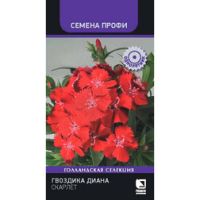 Гвоздика Диана Скарлет (Семена Профи)(срок реализации до конца 2026 г)