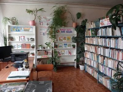 Боровенская сельская библиотека