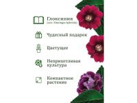 Набор подарочный для выращивания растений "Вырасти, Дерево!", "Глоксиния гибридная".