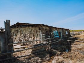 День сайылыка в Якутии: прогулка по летней ферме в Намском улусе