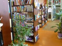 Центральная библиотека Костромского района