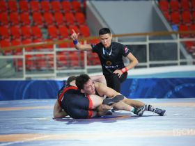 Определены финалисты всероссийского турнира по вольной борьбе Александра Крылова