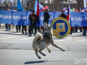В Якутии COVID-19 переболели все, многие — не по разу. Вспомним, через что мы прошли