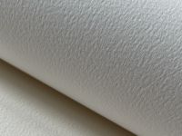 Бумага для акварели Potentate рулон 0,787х10 м 300 г, хлопок, среднее зерно