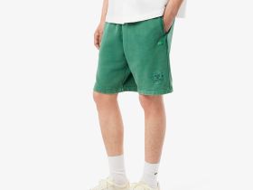 Мужские шорты Lacoste из хлопка