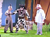 Драматический театр города Тынды