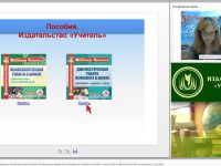 Проблемы управления профилактической работой различных видов отклоняющегося поведения детей и подростков в образовательной организации