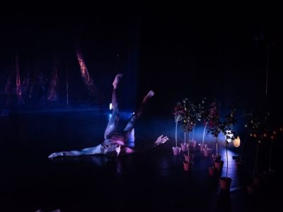 Билеты на Яблоня на Марсе + Иррациональный (Театр драмы им. Наума Орлова) / Театр | Афиша | ИнфоТаймс