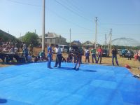 Добровский сельский дом культуры