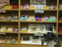 Полукотельниковская сельская библиотека