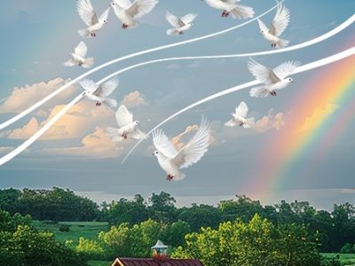 Любовь и голуби