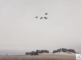 Каменные Люди Сундуруна
