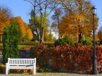 Музей-усадьба Д. В. Веневитинова