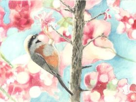 Карандаш Derwent "Drawing" Черная слоновая кость