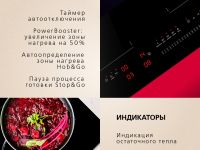 Индукционная панель Hansa BHI67006