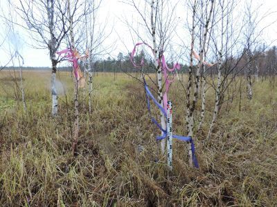 Культовое место  Лунк яун той