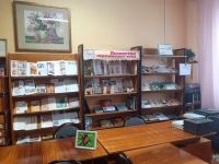 Библиотека № 11 г. Саранска