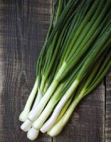 Лук на зелень Эверест (Wing Seed) 0,5г цв.п.
