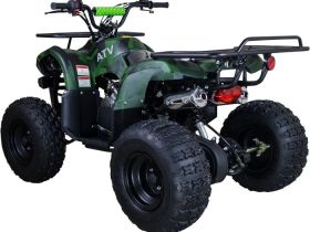 Квадроцикл RAPTOR ATV 200U Premium ALL 200cc 4Т