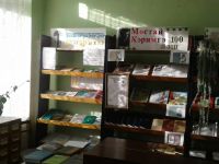 Новокизгановская сельская библиотека