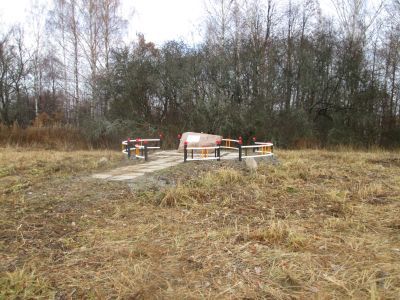 Родина выдающегося скульптора С.Т. Коненкова