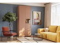 Распашной шкаф Висмар 2-103x240 Терракотовый