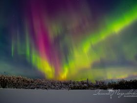 Переливы северного сияния засняли в окрестностях Якутска