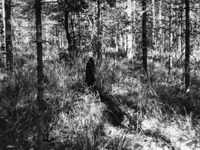 Братская могила советских воинов