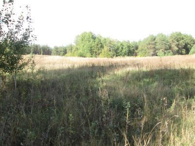 Братская могила 5 советских воинов, погибших 4 августа 1943 г. при освобождении д. Рисава от немецко-фашистских захватчиков. Установлен памятный знак