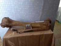 Краеведческий музей с. Нижний Таканыш