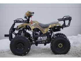 Квадроцикл MOTOLAND 125 Fox A