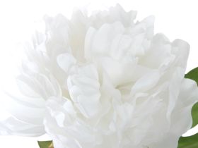 Цветок Peony Plush