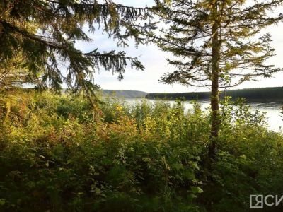 В Якутии установлен пожароопасный сезон