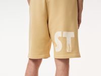 Мужские шорты Lacoste Relaxed Fit