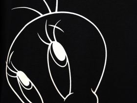 Комплект трикотажный для девочек: фуфайка (футболка), шорты